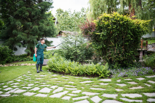 Best Local Pest Control Services  in Water Valley, MS