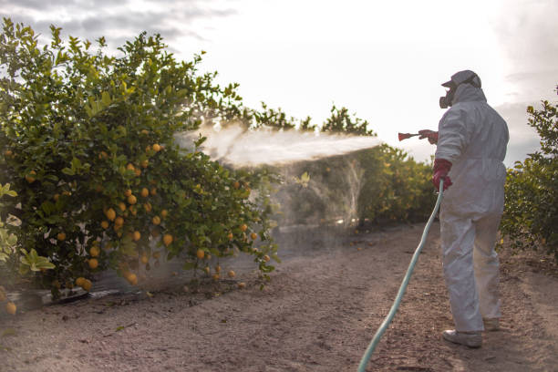 Trusted Water Valley, MS Pest Control Experts