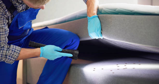 Best Wasp Removal Services  in Water Valley, MS