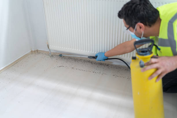 Best Affordable Pest Control Services  in Water Valley, MS