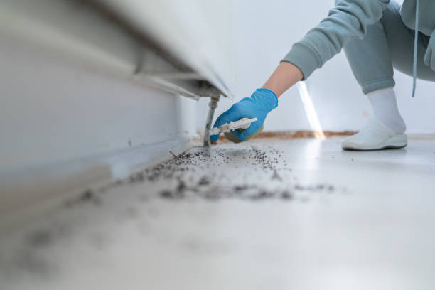  Water Valley, MS Pest Control Pros