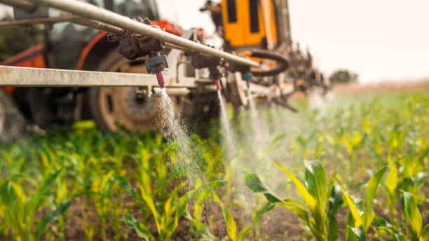 Best Pest Removal Services  in Water Valley, MS